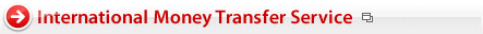 International Money Transfer Service