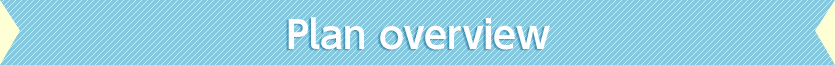 Plan overview