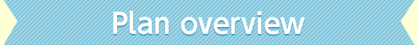 Plan overview