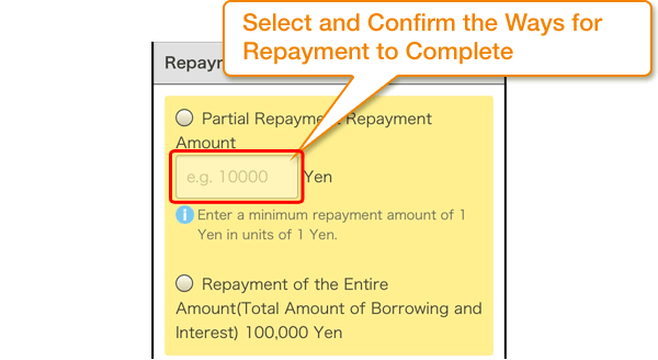 Select and Confirm the Ways for Repayment to Complete