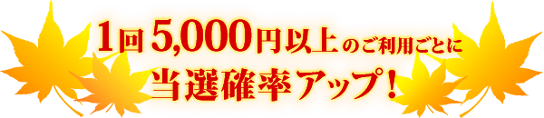 1回5,000円以上のご利用ごとに当選確率アップ!