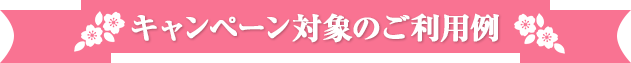 キャンペーン対象のご利用例