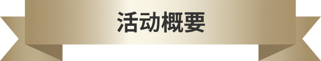 活动概要