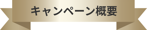 キャンペーン概要